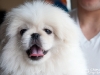 Another Friend of Bella's