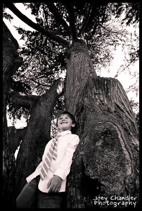Amazing White Family Photographs-11
