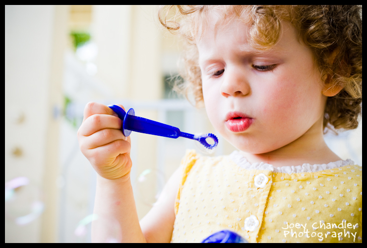 Fancher Family Photography Portraits San Francisco-8