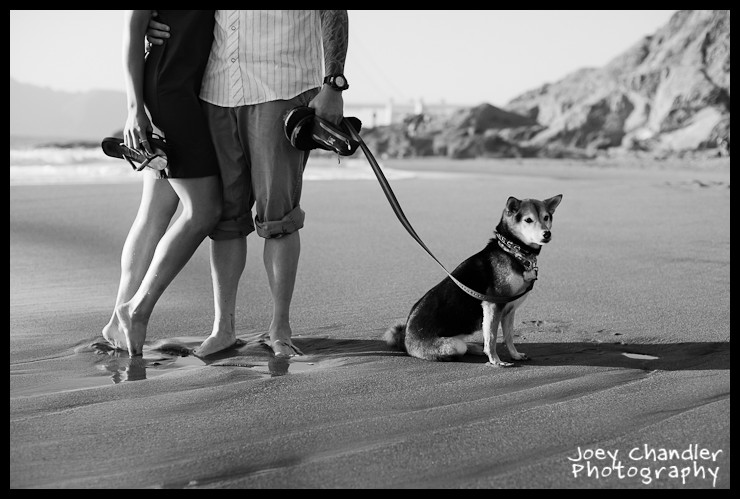Lake and Hayley Enagement Session at Baker Beach-10