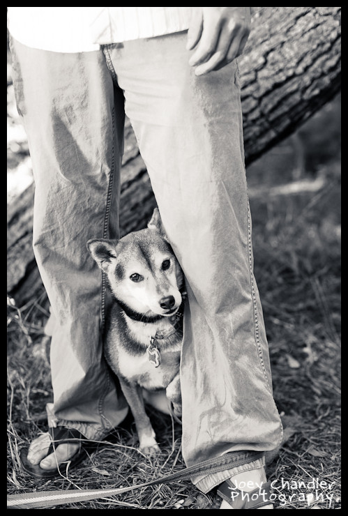 Lake and Hayley Enagement Session at Baker Beach-3