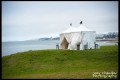 Carl and Michelle's surprise engagement session at Crissy Field-1 Carl and Michelle's surprise engagement session at Crissy Field-1