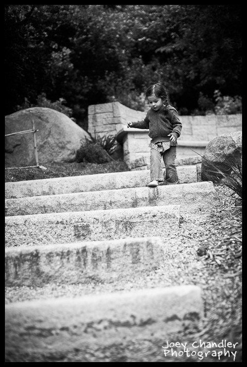 Glaeser Family Photographs in Golden Gate Park-4
