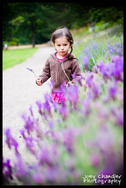 Glaeser Family Photographs in Golden Gate Park-5