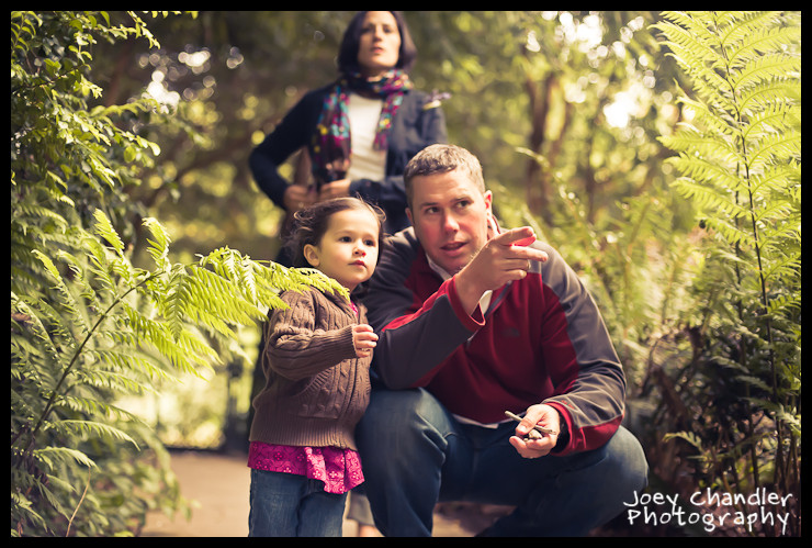 Glaeser Family Photographs in Golden Gate Park-6