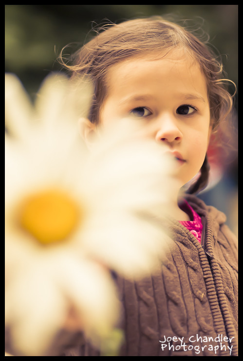 Glaeser Family Photographs in Golden Gate Park-8