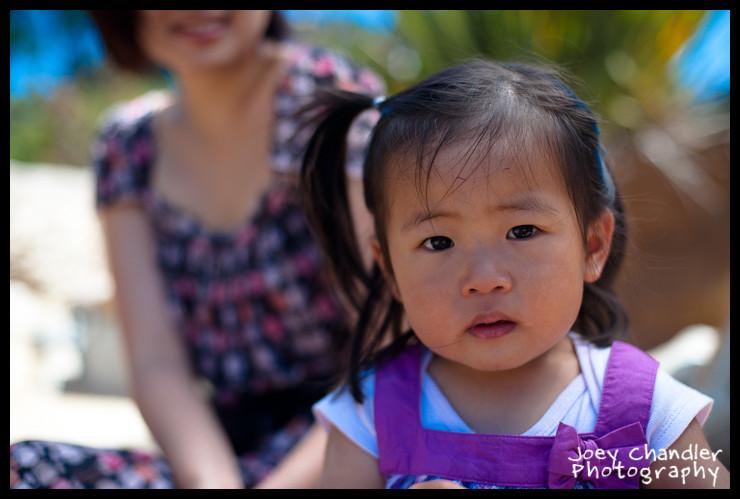 Kim Family Photographs in Golden Gate Park-2 Kim Family Photographs in Golden Gate Park-2
