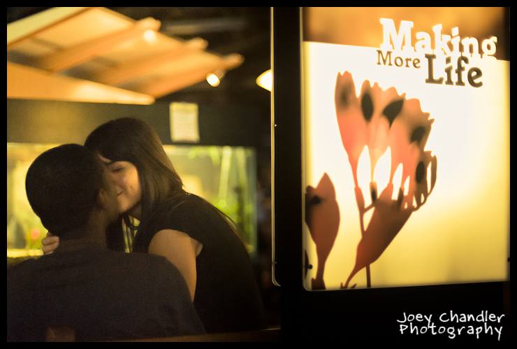 Joanna and Christian's San Francisco Engagement Session-5
