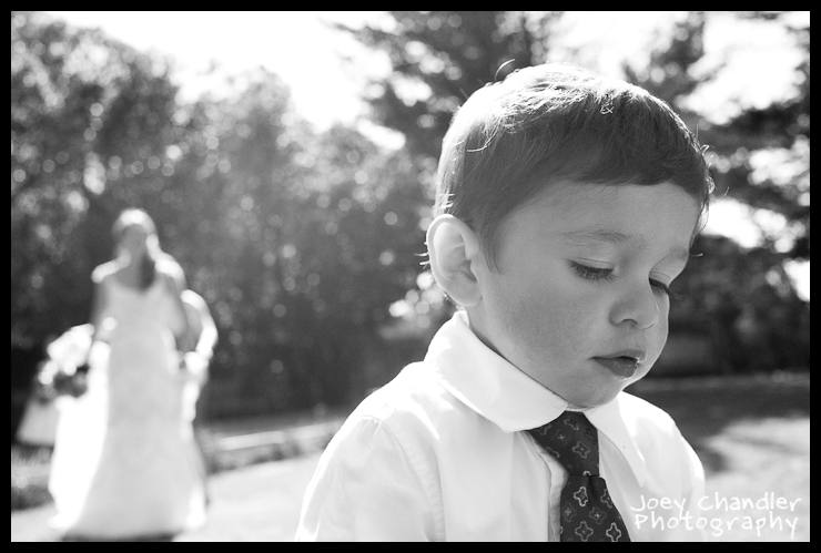 Sam and Mike's Wedding at Holly Farms-27
