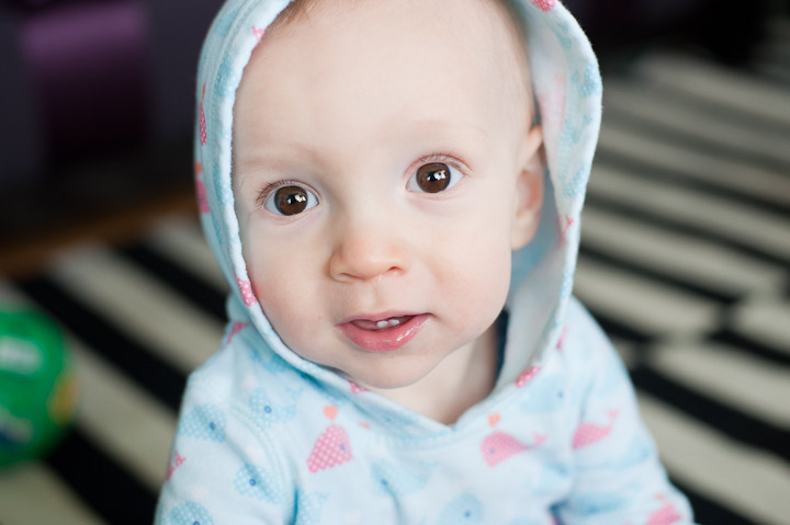 Photographs from Marsh Family Portaits session in San Francisco