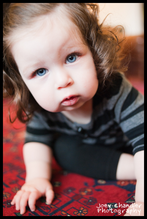 Beautiful Blue eyed Baby Zoe - San Francisco Baby Photographer Crawling Baby girl with blue eyes and big rosy cheeks - San Francisco Baby Photographer