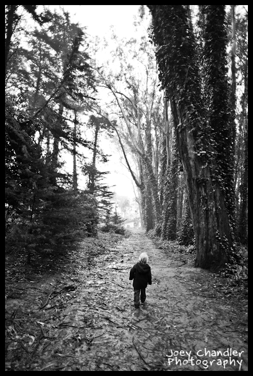 Exploring a path in the Presidio Boy-walking-alone-in-forest-in-Presidio-in-San-Francisco