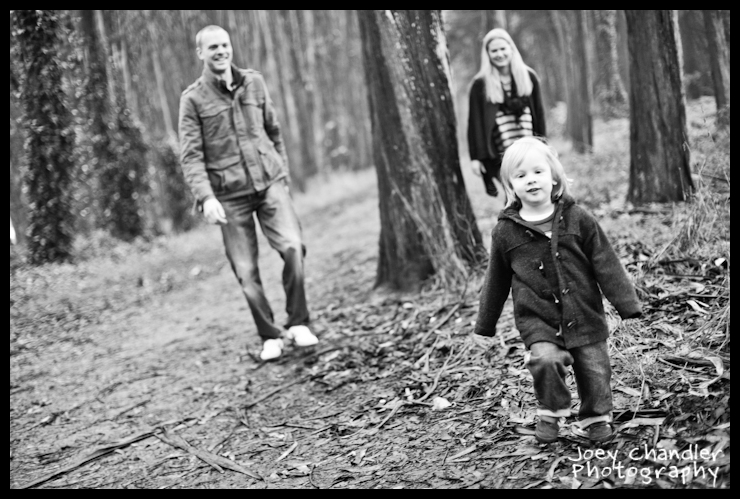 Caldes's playing the Presidio trees Caldes-Family-playing-in-trees