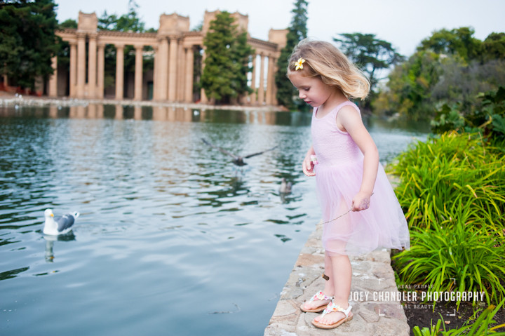 Thinking about jumping at the Palace of Fine Arts