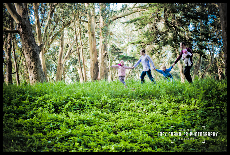 A San Francisco Family Adventure in the Presidio A family walking on a green wooded path in San Francisco's Presidio