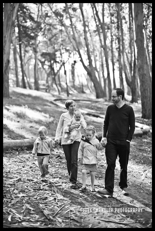 A San Francisco Family walk in the Presidio A family walking on a wooded path in San Francisco's Presidio