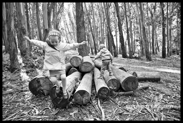 Children Playing in the Presidio Brother and sister playing on logs in San Francisco's Presidio