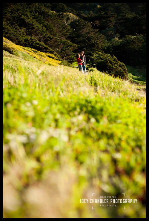 Amazing green and lush San Francisco can be Kissing couple on a side of a lush green hill in San Francisco - San Francisco Engagement Photography