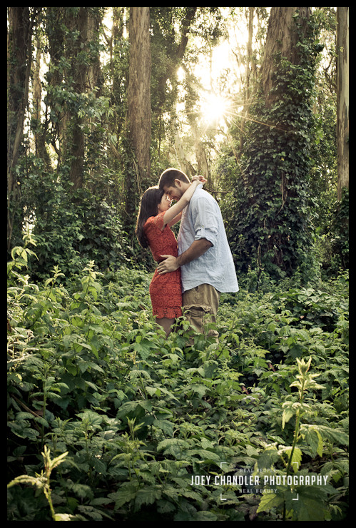 Golden light of the Presidio for San Francisco Engagement Photography Engagement Photograph of a tender moment in San Francisco's Presidio