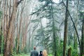 Printed Photograph of family walking in Presidio by Joey Chandler Photography