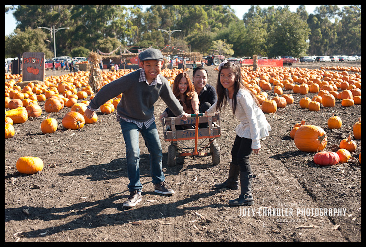 Family of four playing at Perry's Pumpkin Patch