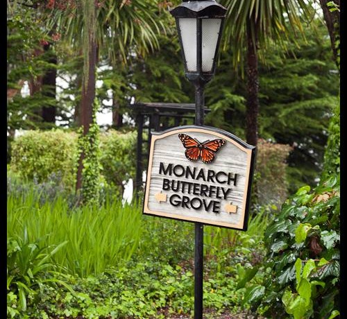 Sign for Carrie and Diego Wedding - Monarch Cove Inn-20